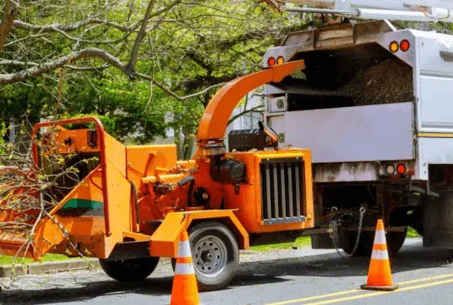 tree removal Folsom ca
