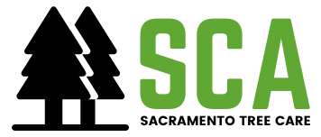 sca tree care logo