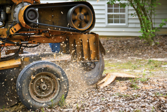 stump grinding sacramento